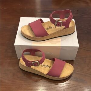 Papillio Glenda Boysenberry asst TL